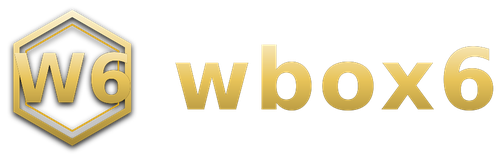 wbox6 logo
